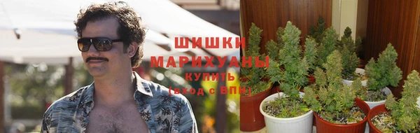 мескалин Бородино