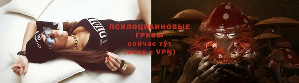 сатива Бугульма