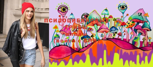 сатива Бугульма