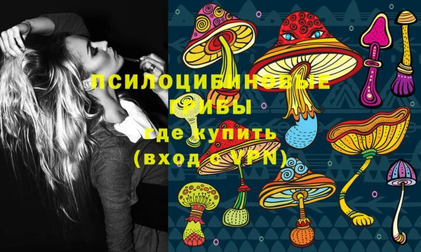 мескалин Бородино