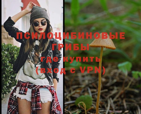 сатива Бугульма
