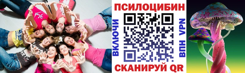 мега рабочий сайт  что такое   Екатеринбург  Псилоцибиновые грибы Psilocybe 